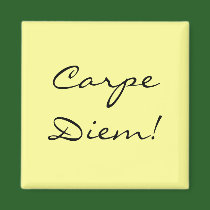 Carpe Diem magnet magnets