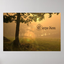 Carpe diem poster