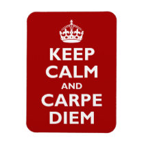 Carpe Diem! Rectangular Magnets