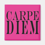 Carpe Diem Seize the Day Latin Quote Happiness Fridge Magnets