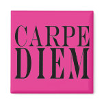 Carpe Diem Seize the Day Latin Quote Happiness magnets