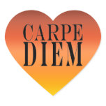 Carpe Diem Seize the Day Latin Quote Happiness stickers