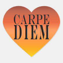 Carpe Diem Seize the Day Latin Quote Happiness Sticker