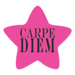 Carpe Diem Seize the Day Latin Quote Happiness stickers