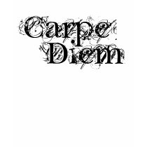 Carpe  Diem t-shirts
