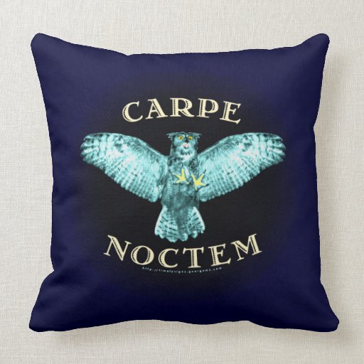 Carpe Noctem Pillows