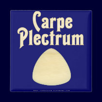 Carpe Plectrum magnets