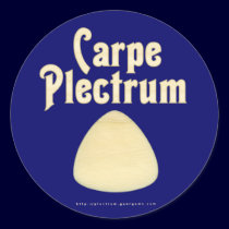 Carpe Plectrum stickers