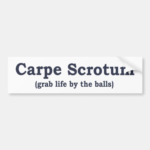 Carpe Scrotum Bumper Stickers