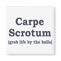 Carpe Scrotum Magnets