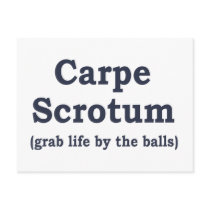 Carpe Scrotum Post Card