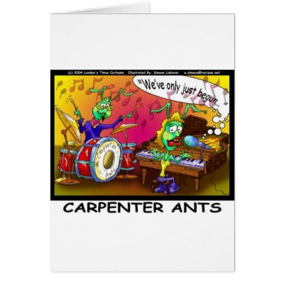 Carpenter Ants on Carpenter Ants Australia By Holger