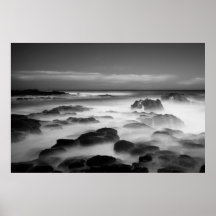 Carpet of Motion Print