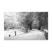 Carpet of snow stretched canvas print