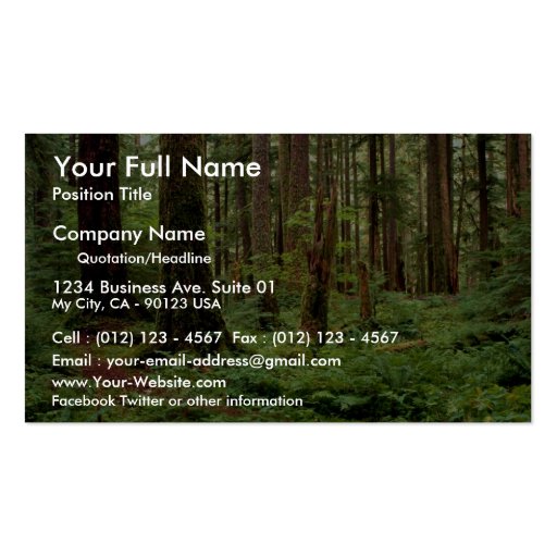 Carpet of sword ferns among old timber business cards