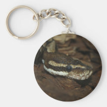 Carpet python keychains