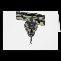 Carpet Pythons rule cards