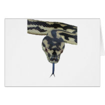 Carpet Pythons rule Cards