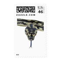 Carpet Pythons rule postage
