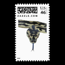 Carpet Pythons rule stamps