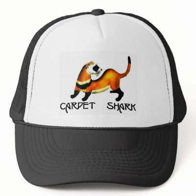 carpet shark hat by sarasanimalsanctuary