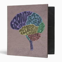 Carpeta del cerebro
