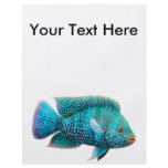 Carpintis Texas Cichlid Flyer