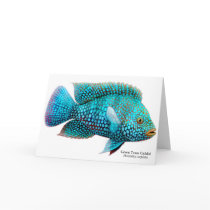 Carpintis Texas Cichlid Greeting Card