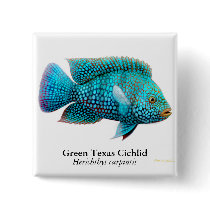 Carpintis Texas Cichlid Pin