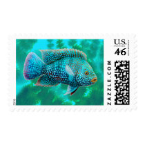 Carpintis Texas Cichlid Postage