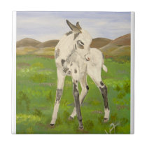 Carrara the Donkey Tile tiles