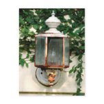 Carriage Lamp ©2008 Postcards