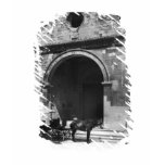 Carriage Waiting before porch of cathedral t-shirts