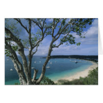Carribean, Anguilla Island, Road Bay Harbour. Card