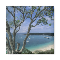 Carribean, Anguilla Island, Road Bay Harbour. Magnets