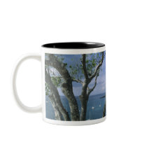 Carribean, Anguilla Island, Road Bay Harbour. Coffee Mug