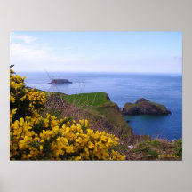 Carrick-a-Rede Rope Bridge Print