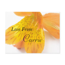 Carrie postcards