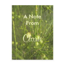 Carrie postcards