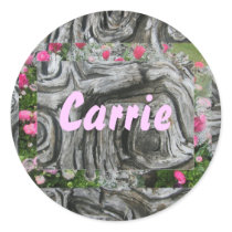 Carrie stickers