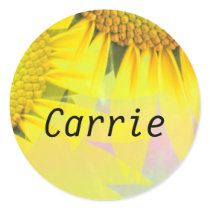 Carrie stickers