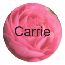Carrie stickers