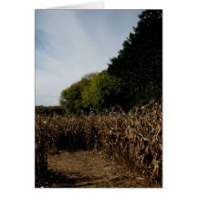 Carril de Blank_Corn Tarjeta