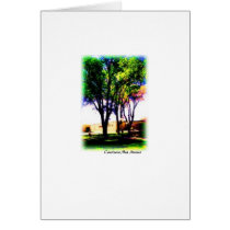 Carrizozo Park Cards