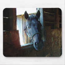 Carrollgraphix - Horse Pad mousepads