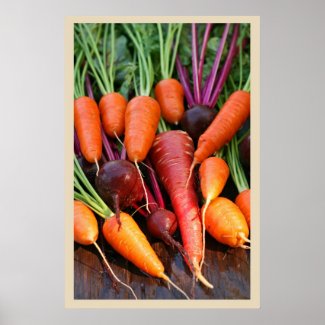 Carrot and Beet Root Print print