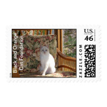 Carrot Cate stamps