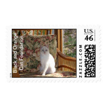 Carrot Cate Postage