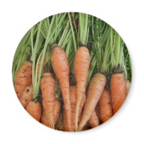 Carrot Magnet magnets