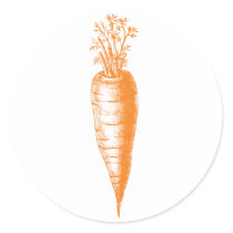 Carrot Stickers